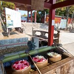 まるあ青果 - 津島神社の花手水