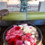 まるあ青果 - 津島神社の花手水