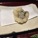 天満橋 藤かわ - 