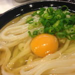 うどん 丸香 - かけ月見うどん