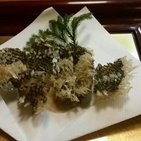 磯料理　まるけい - 