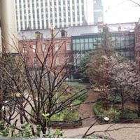 ミクニ マルノウチ - 