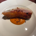 Potoro - 