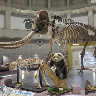 道の駅 忠類 忠類物産センター_2