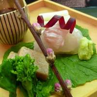 祇園 にしかわ - 平目、トロの炙り、なまこ、春野菜