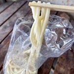 橋本製麺所 - うどん アップ