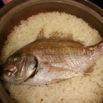 Katsutaro - 鯛飯