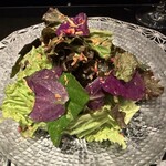鉄板焼さわふじ - 