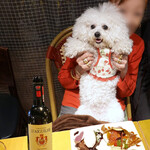 ラ メゾン ダミ - ベアトリーチェと共に〜♬