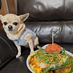 つやかのめぐちゃん - 