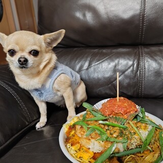 つやかのめぐちゃん_1