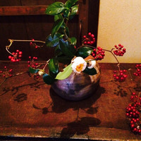 coctura桜井 - 
