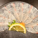 海鮮割烹 朝日 - 『ヒラマサのしゃぶしゃぶ』①