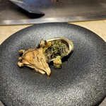 New Matsusaka Nanba Midosuji Ten - 