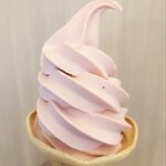 道の駅 いずみ山愛の里 - 