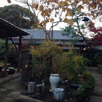 九つ井 本店 - 