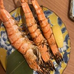 吟乃月 - 