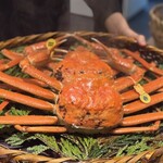 日本料理 えん - 