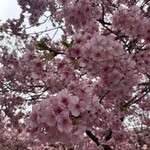 めん処 浜の屋 - 