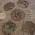 森のアルム - 床