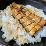 食堂 のぶ - 料理写真:・うな丼、僕にはウナギはこれくらいで充分