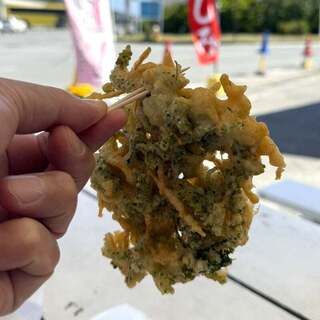 てるちゃん 天ぷら_0