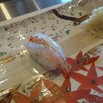 鮨おおね田 - シマエビ