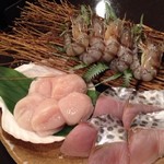 海鮮は車海老・白身魚・帆立