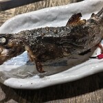 小川の魚 - 