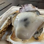 マーケテリア - 