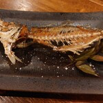 しまなみ直送 真鯛・海鮮料理専門店 鯛将 - 