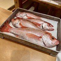 割烹 龍馬 - 本日ののどぐろ達