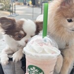 スターバックスコーヒー - ドリンク写真: