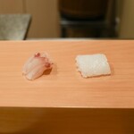 鮨 やすみつ - 泥障烏賊とほうぼう
