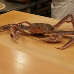 鮨 やすみつ - 越前蟹1.1kg