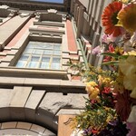 ドローイングハウスオブナカノシマ - 