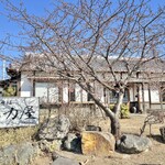 手打ちそば　馬力屋 - 