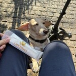 カフェタナカ - 