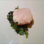 カセント - 五島列島産 天然 クエ