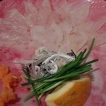 俺の割烹 博多 中洲 - とらふぐ造り