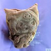 横浜くりこ庵 - クロミ焼き（\230）