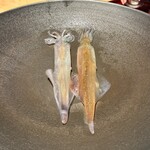 御料理藤居 - 