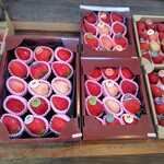 Merry Berry Farm - 多品種詰合せ、、白いのはミルキーベリー。。見映えは良いですが、味は個人的には好みでは無い。。