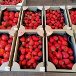Merry Berry Farm - 小粒や形の悪い家用のお買い得品