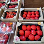 Merry Berry Farm - 3割引の特売品。。ちょっと熟している感じ