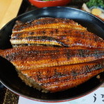 うなぎ丼 2015年1月