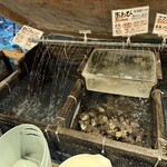 ざうお - 