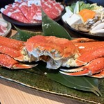 涮涮鍋 壽喜燒 螃蟹吃到飽 和牛與豬...然後是螃蟹 心齋橋站前店 - 