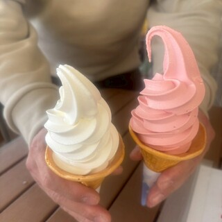 ふれあいの郷直売所 売店_0