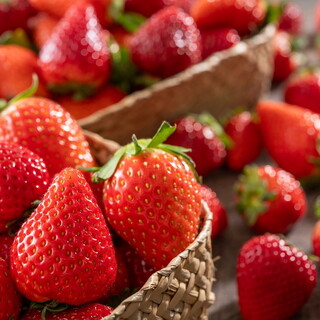 NARITA BOLD KITCHEN_2